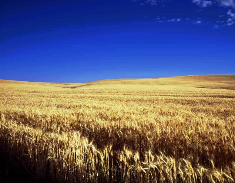 Gedenkwaardige dingen om te doen in Kansas